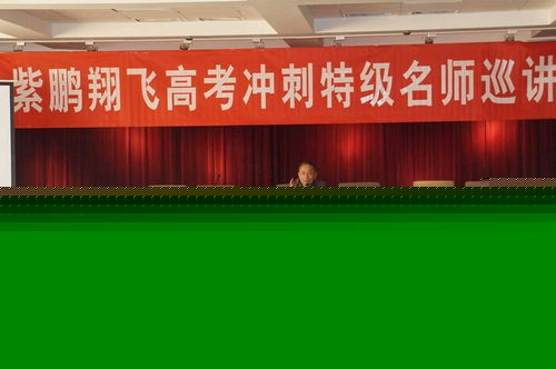 天津市紫鵬翔飛教育信息咨詢(xún)服務(wù)探析