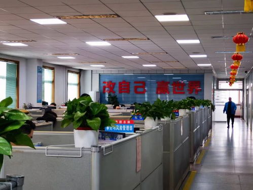 南陽(yáng)中光廠學(xué)校納入南陽(yáng)市第十七小學(xué)教育集團(tuán)，區(qū)域教育資源整合再升級(jí)